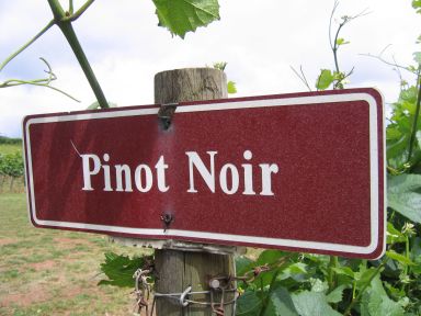 Pinot Noir