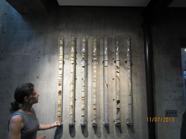 Jackie with a cross section of the soil umder the wines.