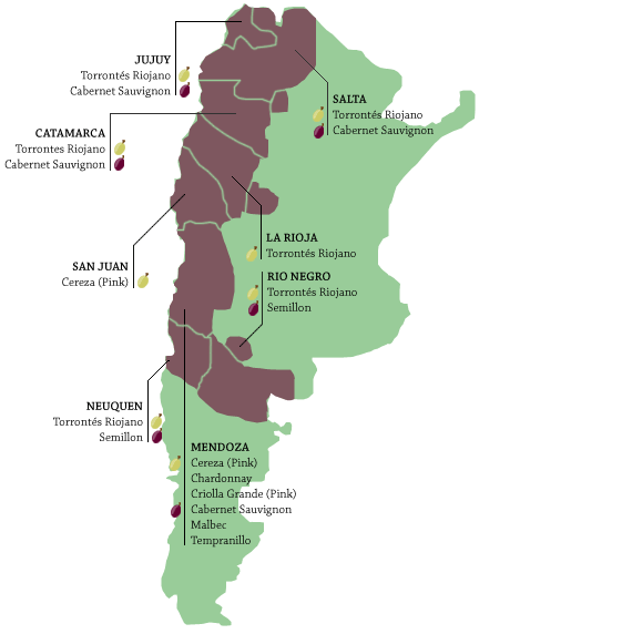 argentina_wine_map_in_organic_wine_tasting